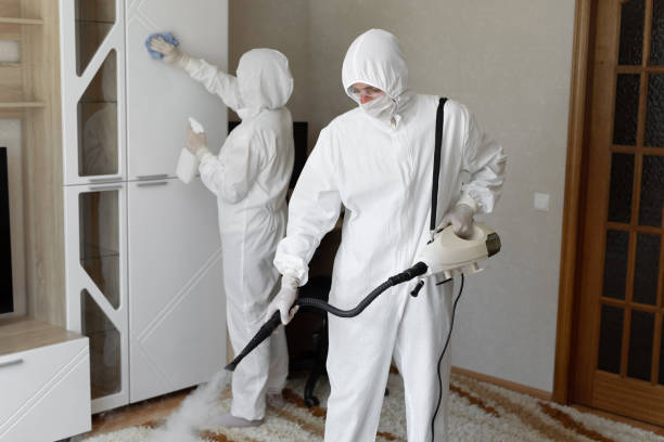 24/7 Emergency Odor Removal experts in Dover, AR