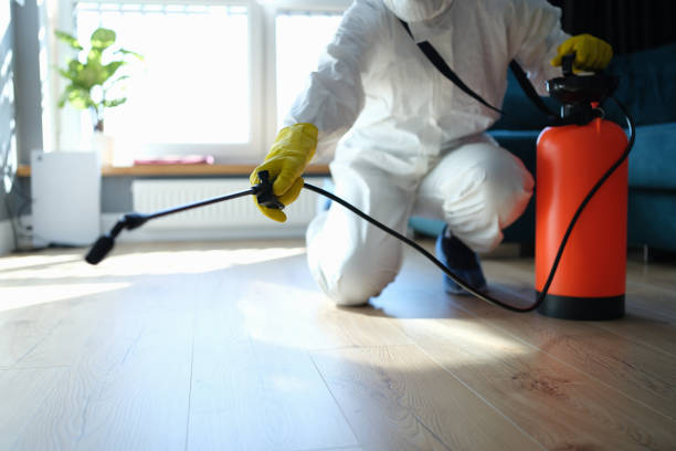 Reliable Odor Removal contractor in Dover, AR by Trauma Clean Pros